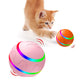 Pet New Cat Wicked Ball